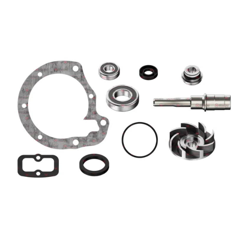 Water Pump Repair Kit