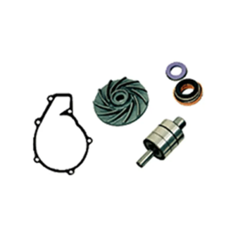 Repair Kit (Water Pump)