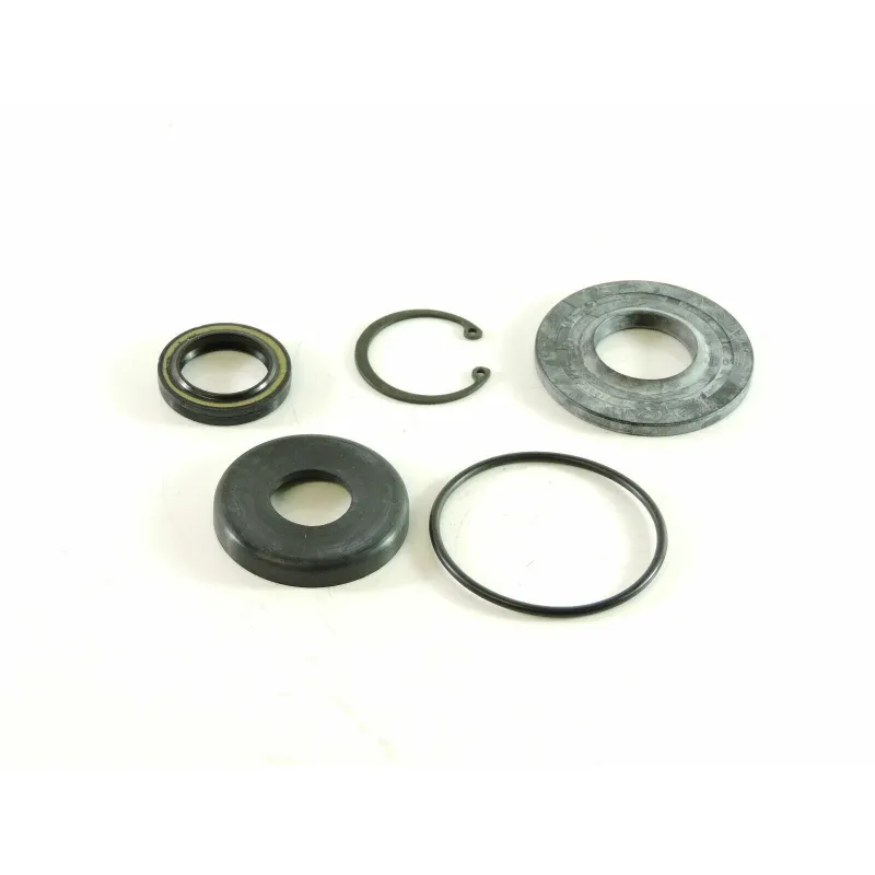 Steering Gear Repair Kit