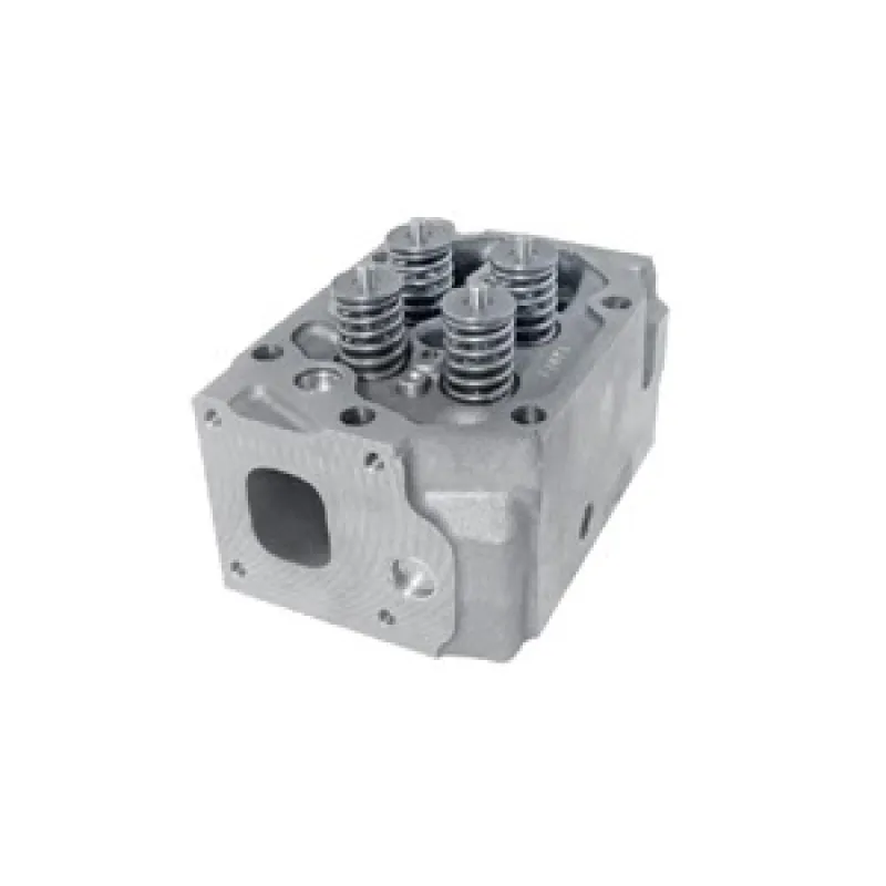 Cylinder Head With Valves