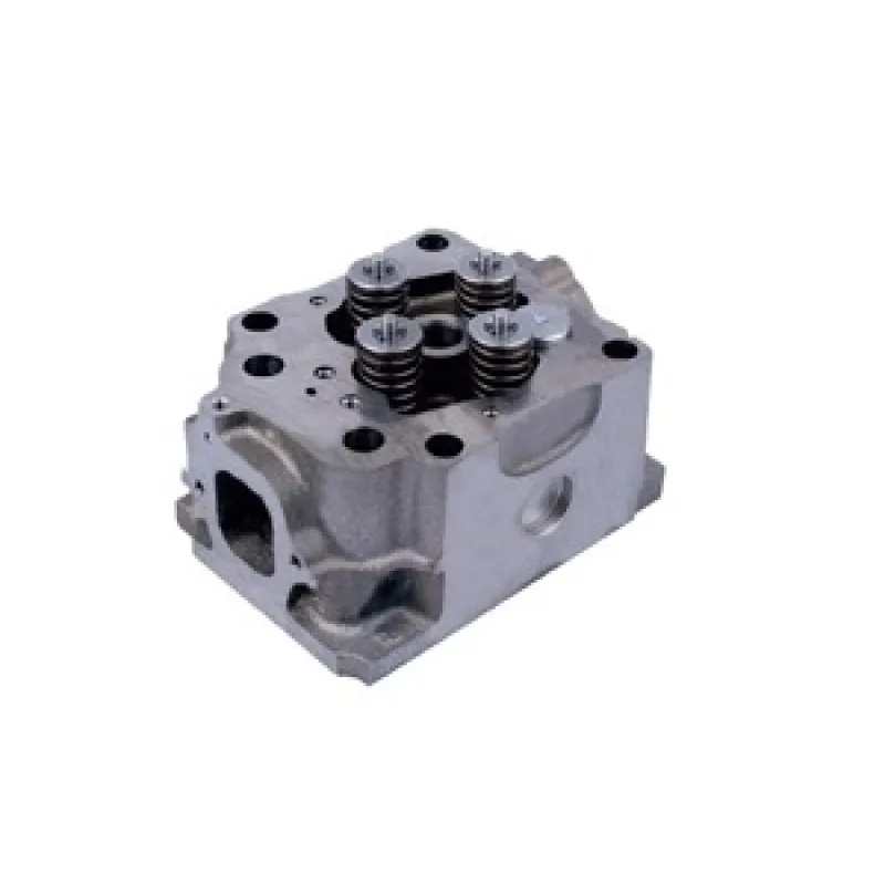 Cylinder Head With Valves