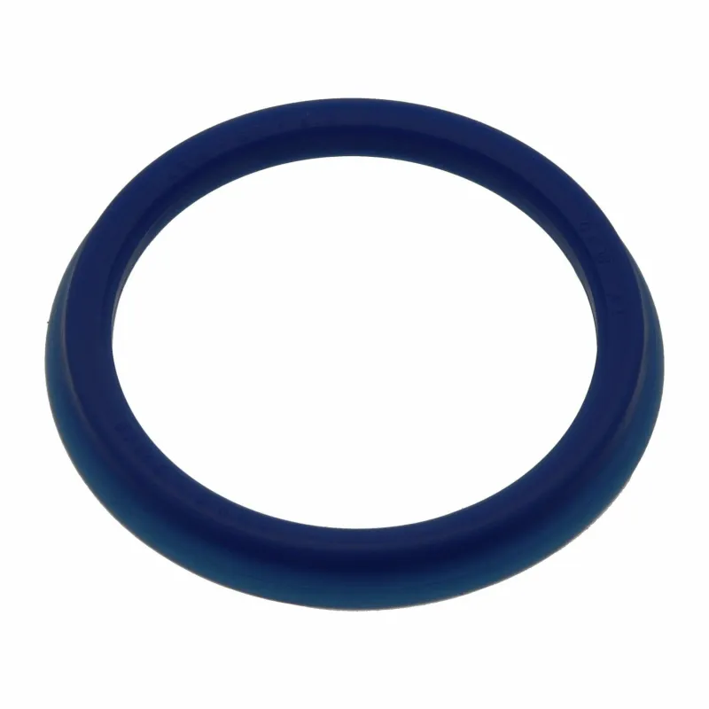 Seal Ring