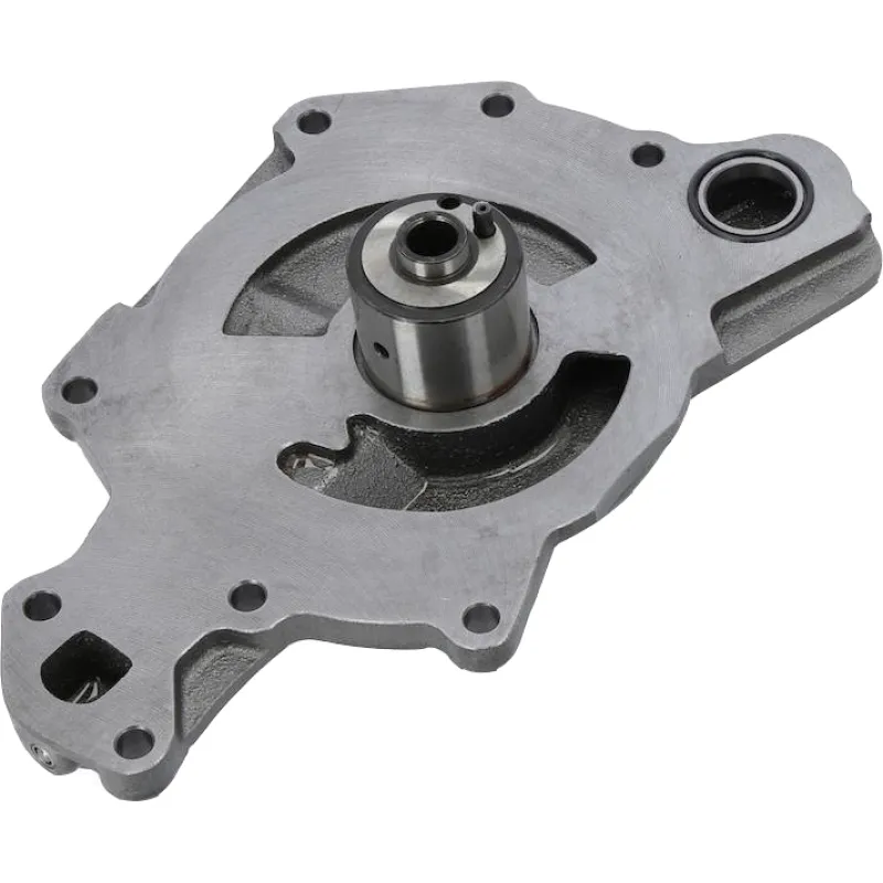 Oil Pump Cover and Gear