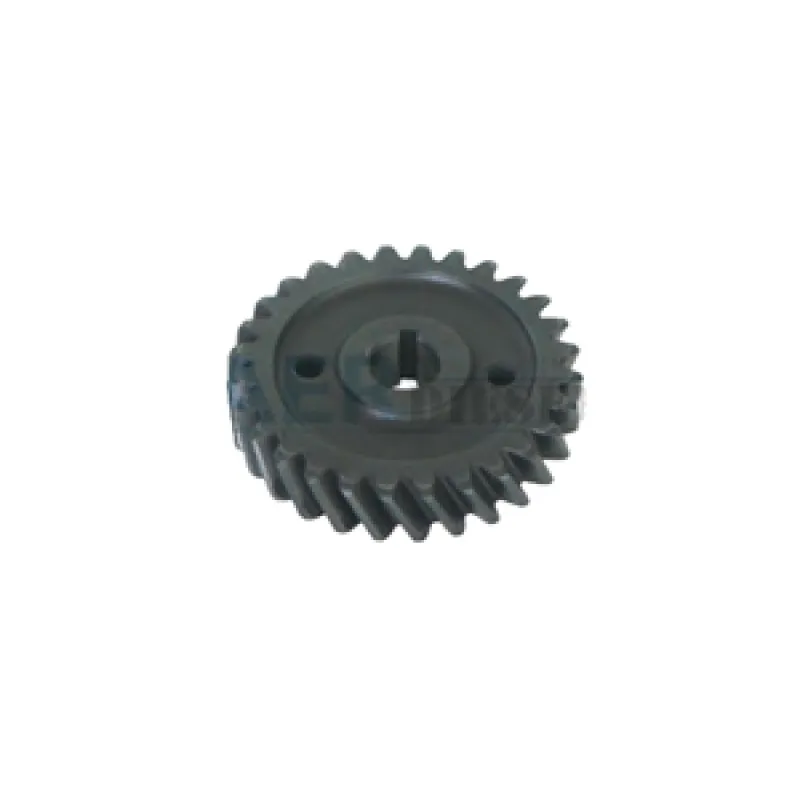 Oil Pump Gear